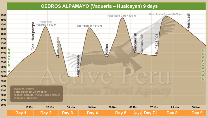 Cedros Alpamayo Wanderung Höhenverlauf 